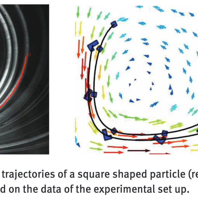 Numerical Simulation of Surface Acoustic Wave Actuated Separation of Rigid Enantiomers by the Fictitious Domain Lagrange Multiplier Method