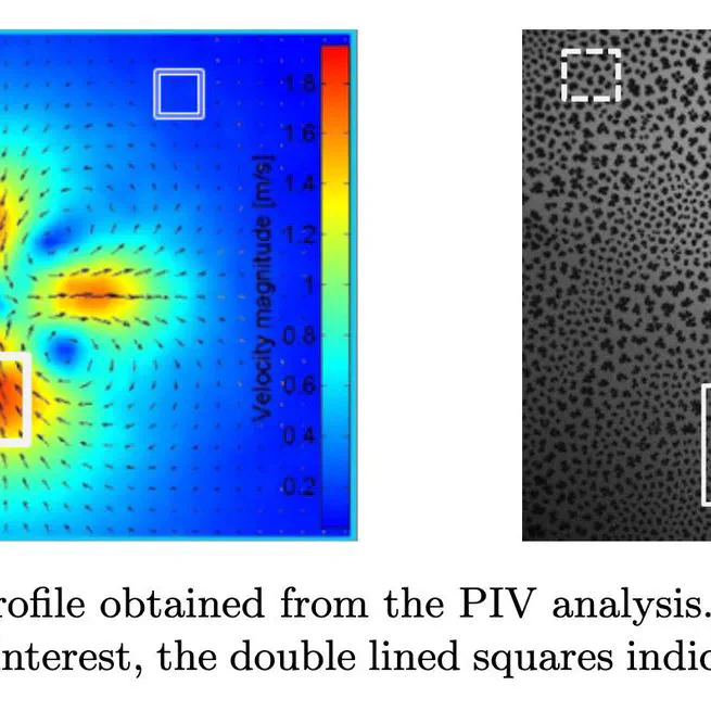 Transport at Interfaces in Lipid Membranes and Enantiomer Separation